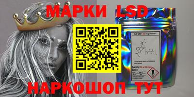 a pvp Кингисепп