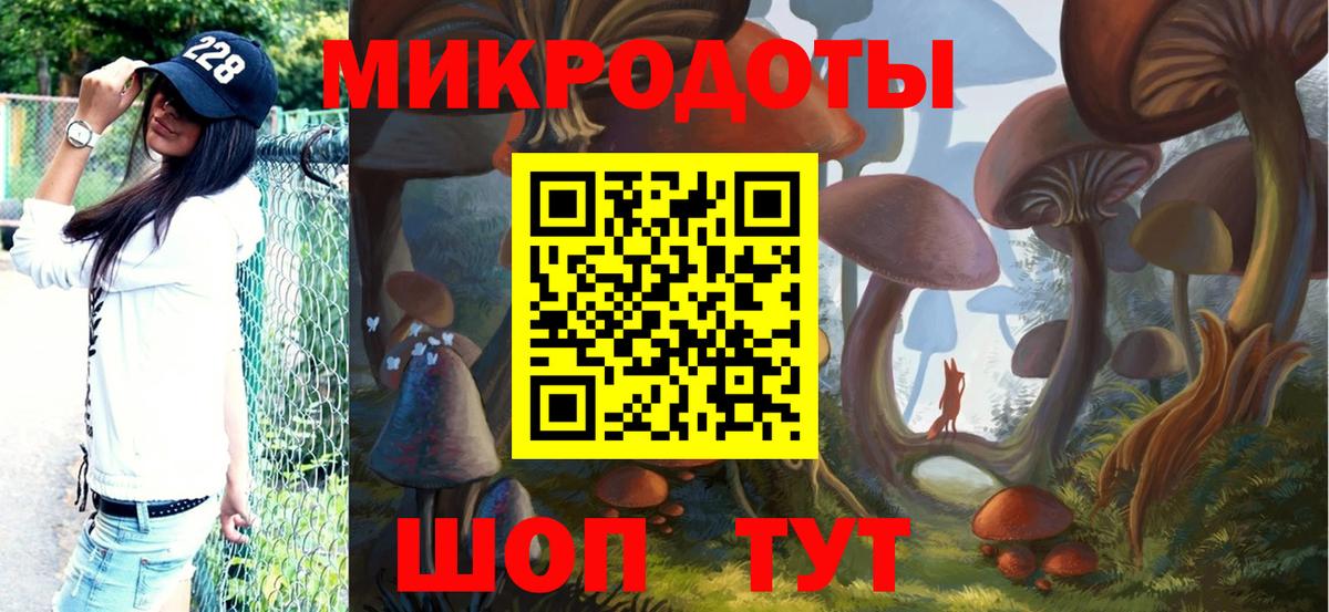 Псилоцибиновые грибы Киселёвск