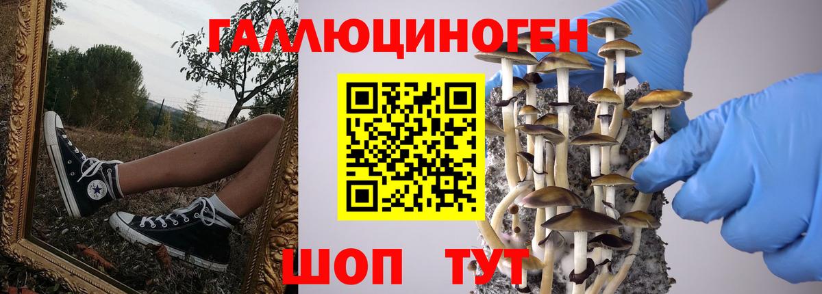 Галлюциногенные грибы Magic Shrooms Киселёвск