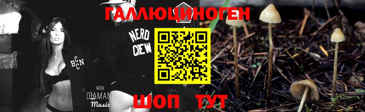 Киселёвск  купить наркоту  Вход с VPN  Псилоцибиновые грибы Cubensis  Галлюциногенные грибы ЛСД 